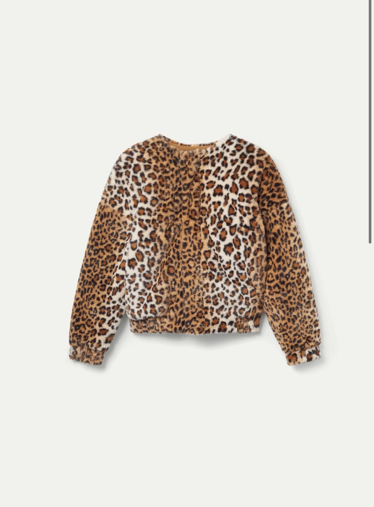 Veste Fantastica Company