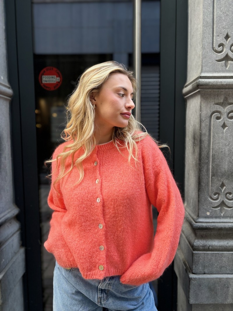 Eline-vest, twee kanten op te dragen
