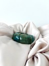 Bleu-vert canard