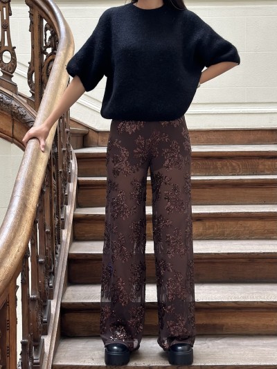 Pantalon transparence...