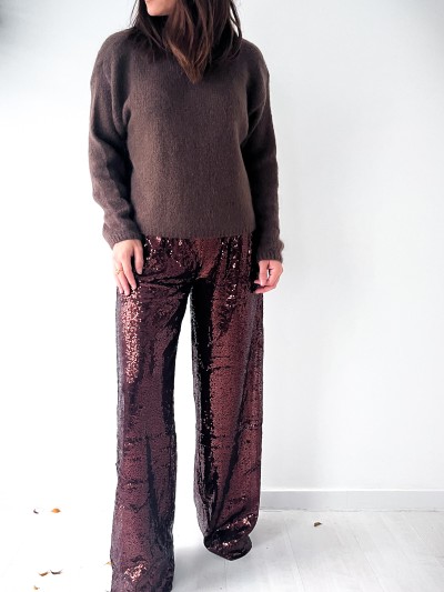 Broek Séverine  Sequin - Brun