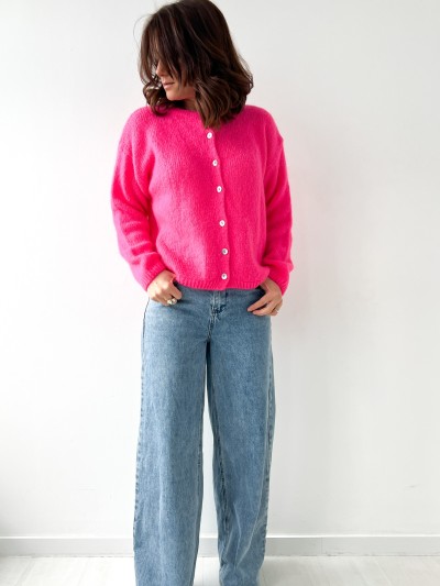 Eline vest omgekeerd - Rose...