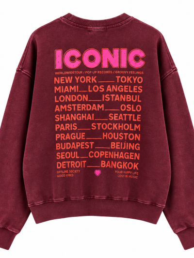 Sweat Iconic délavé 100% Coton